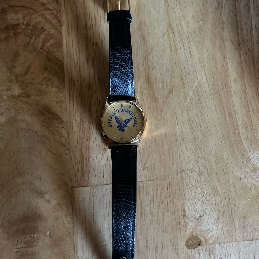 Gold and Black Citizen Watch